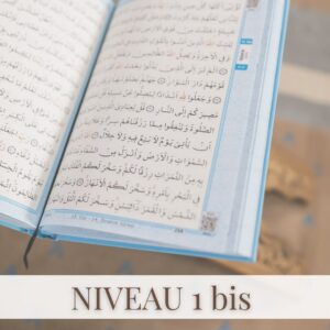 Niveau 1 bis - Suite 1A