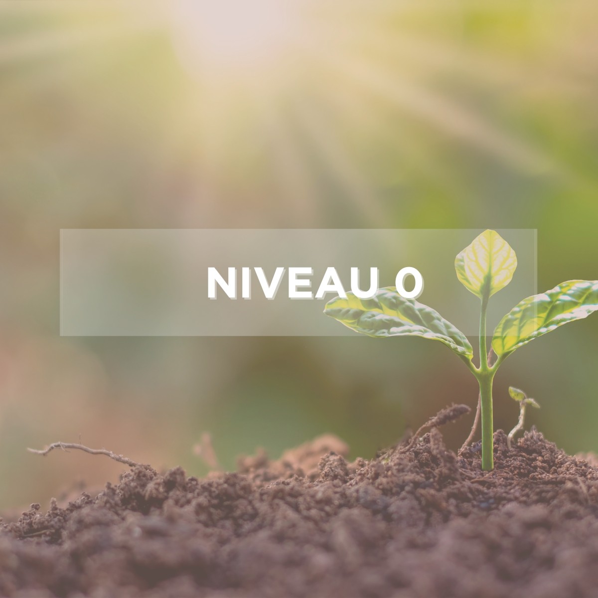 Stage INTENSIF Niveau 0 – Image 2