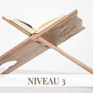 Niveau 3