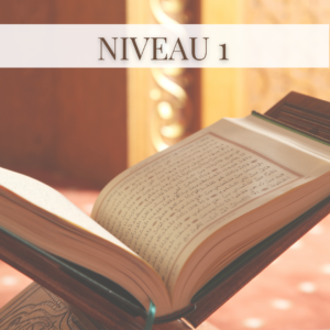 Niveau 1