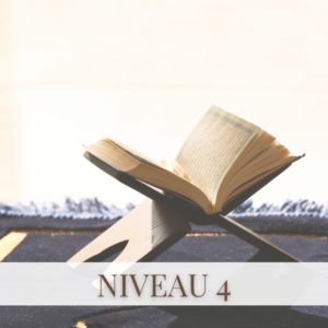 Niveau 4