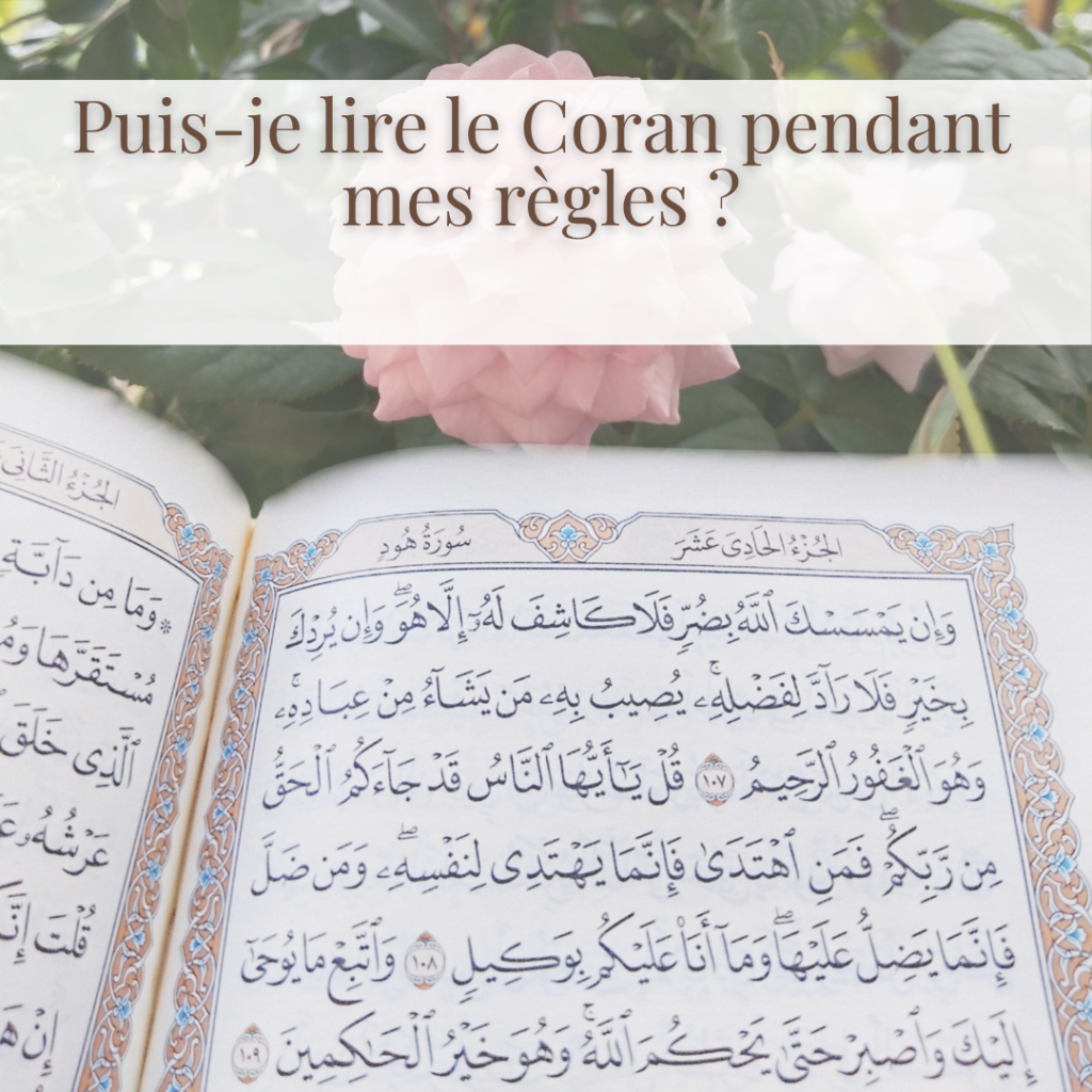 Muṣḥaf ouvert devant une rose, pour l'article : lire le Coran pendant les règles